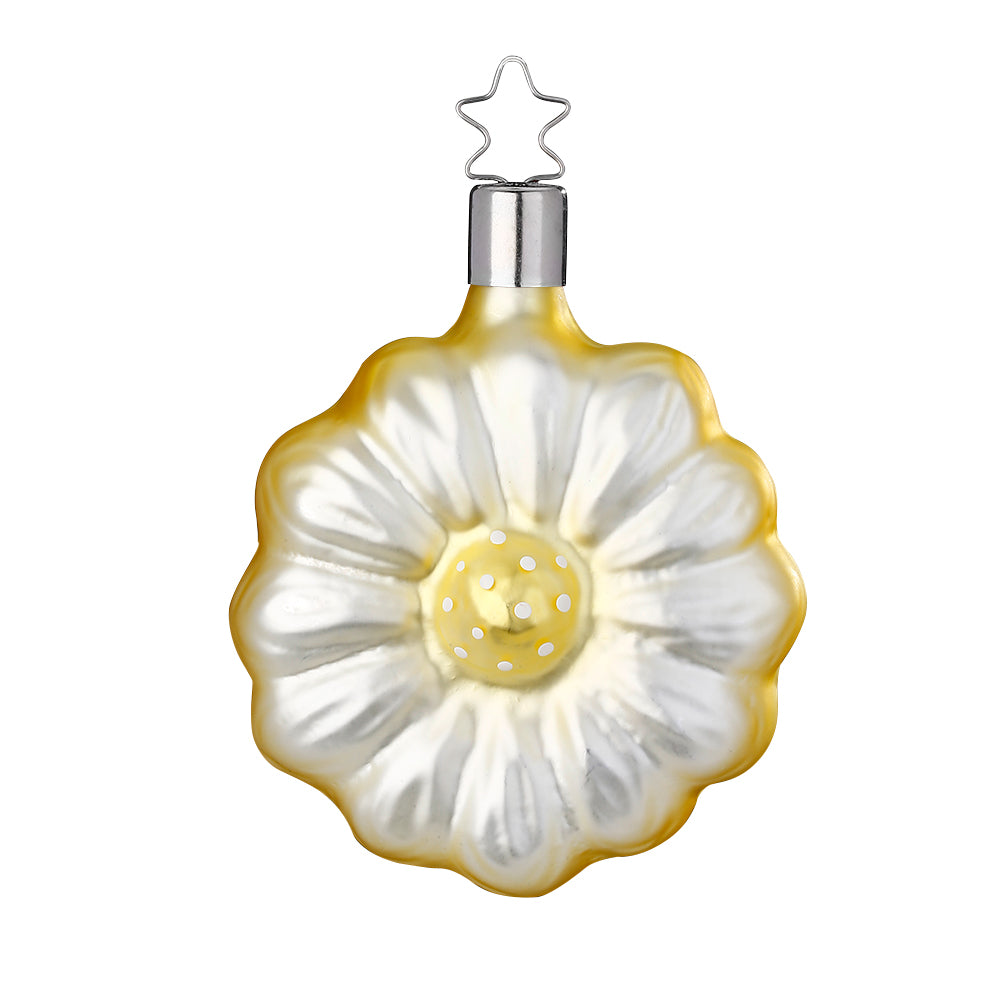 Gerbera, gelb, 8 cm