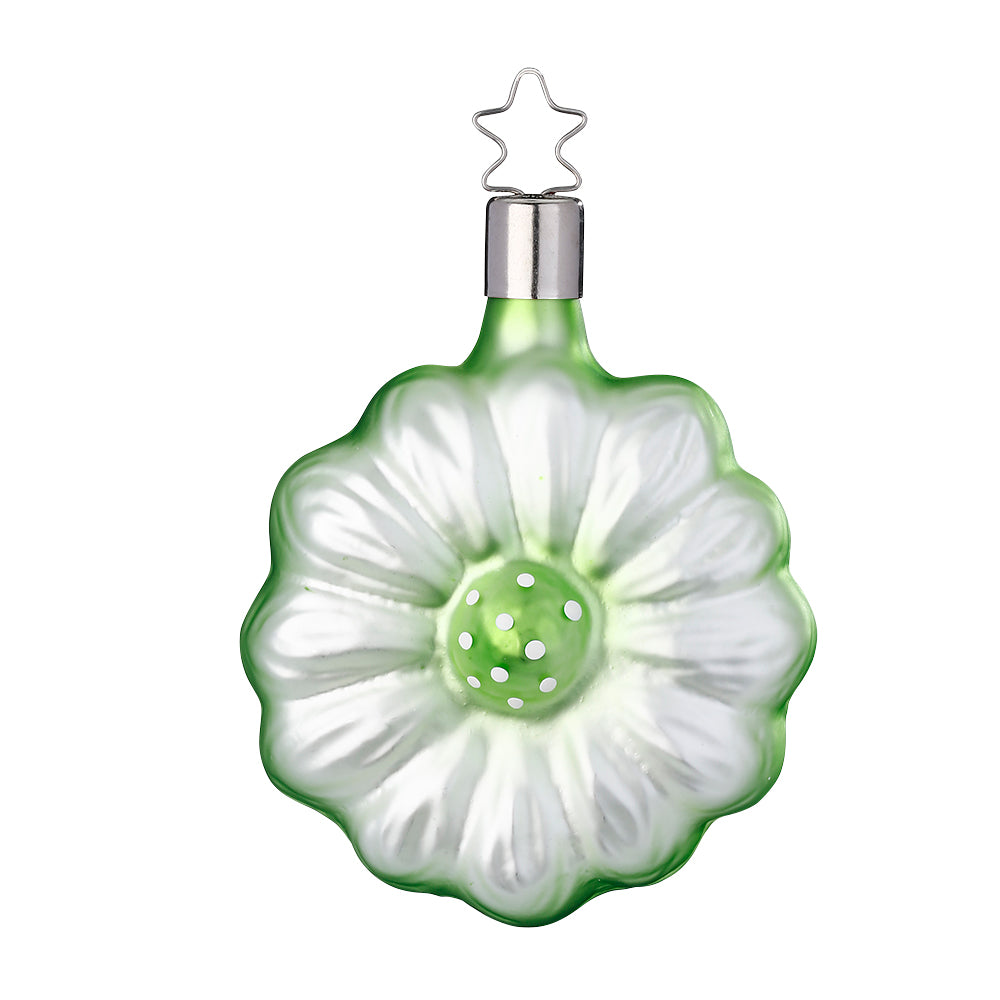 Gerbera, jade, 8 cm