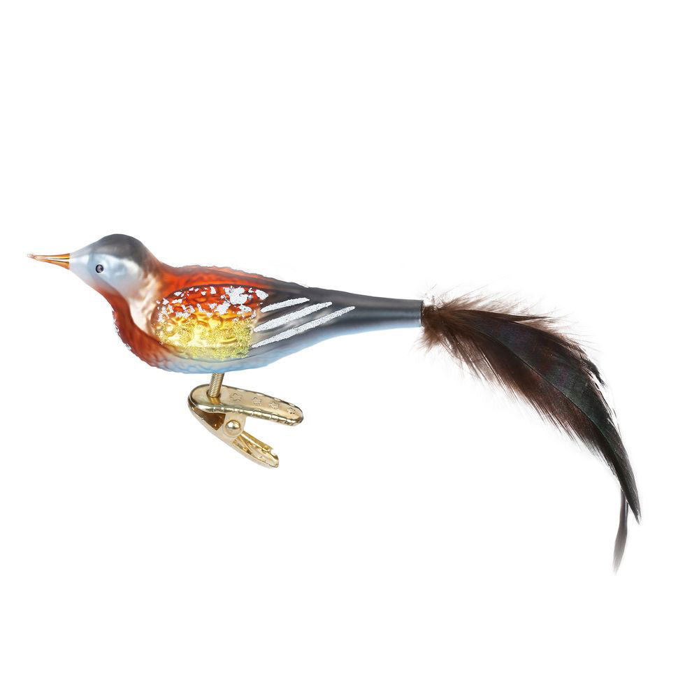 Gimpelfink, 10 cm