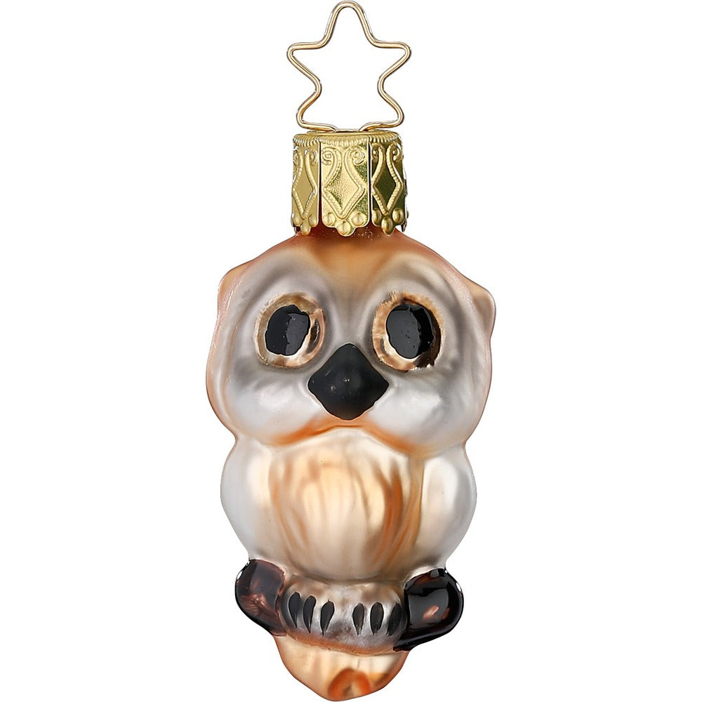 Owl Ursula, 2.4''