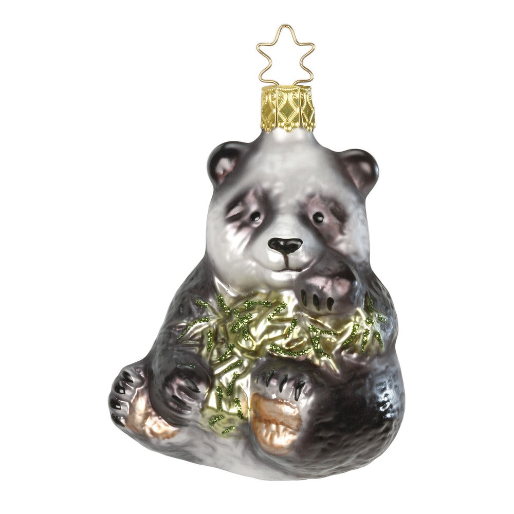 Paul Panda, 9 cm
