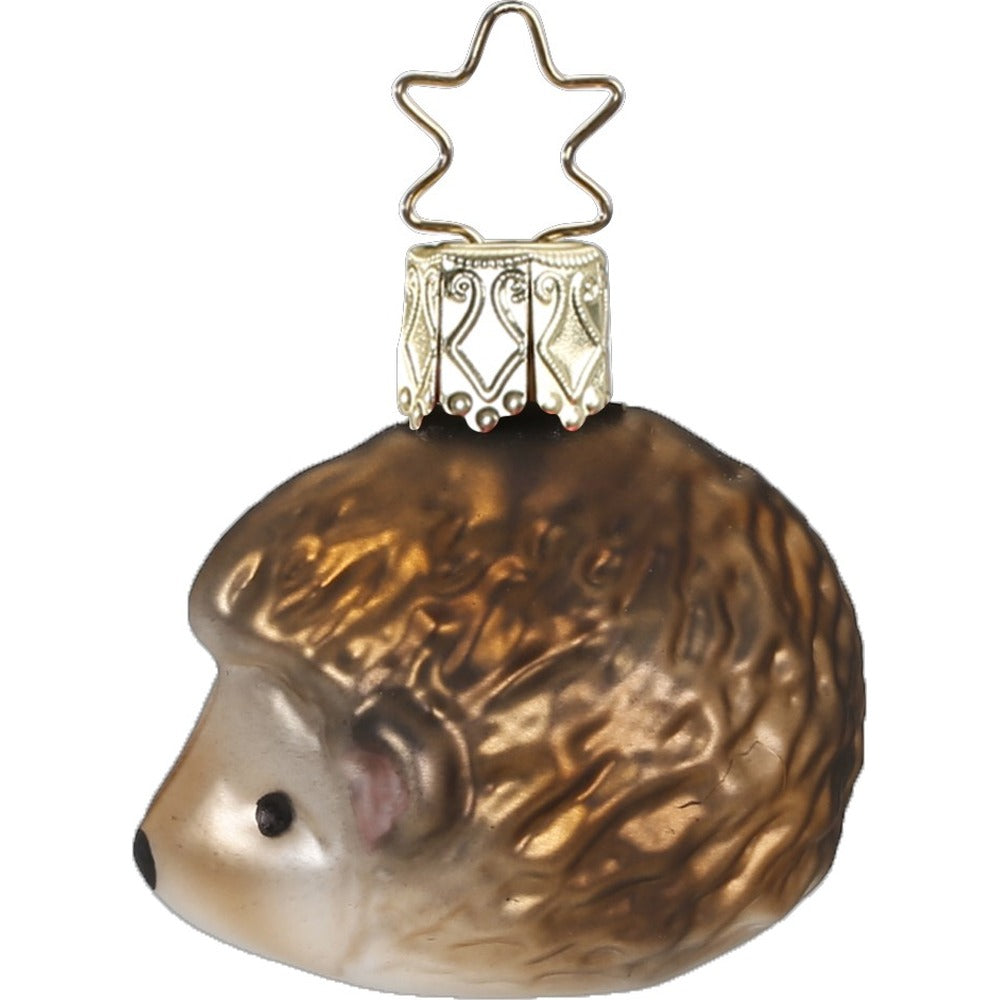 Ingo Igel, 4 cm