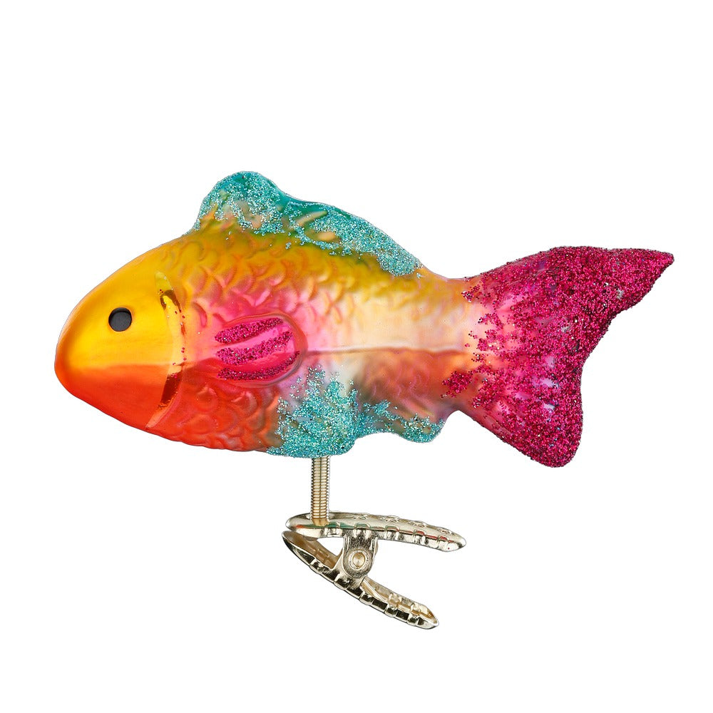 Buntfisch, 10 cm