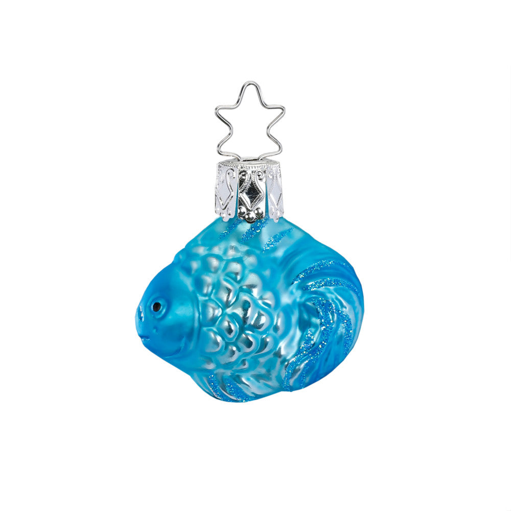 Schwarmfisch, blau, 4 cm