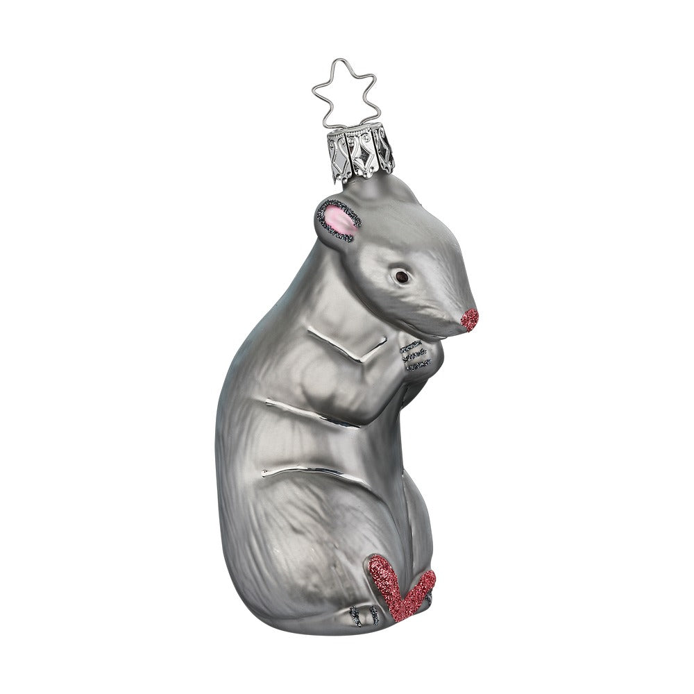 Ratte, 10 cm