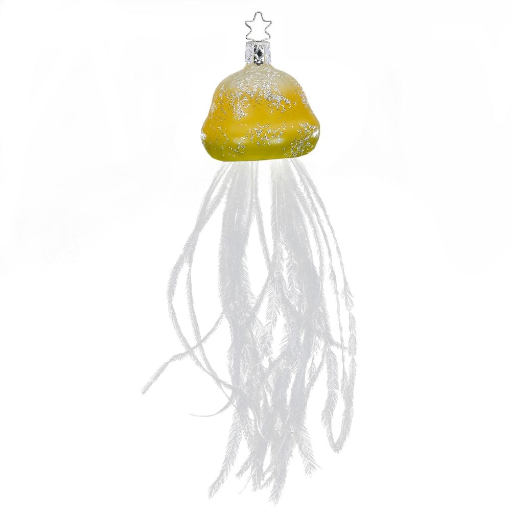 Feuerqualle, 5.5 cm