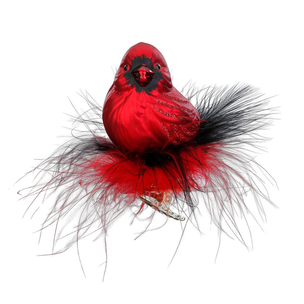 Roter Kardinal, 7 cm