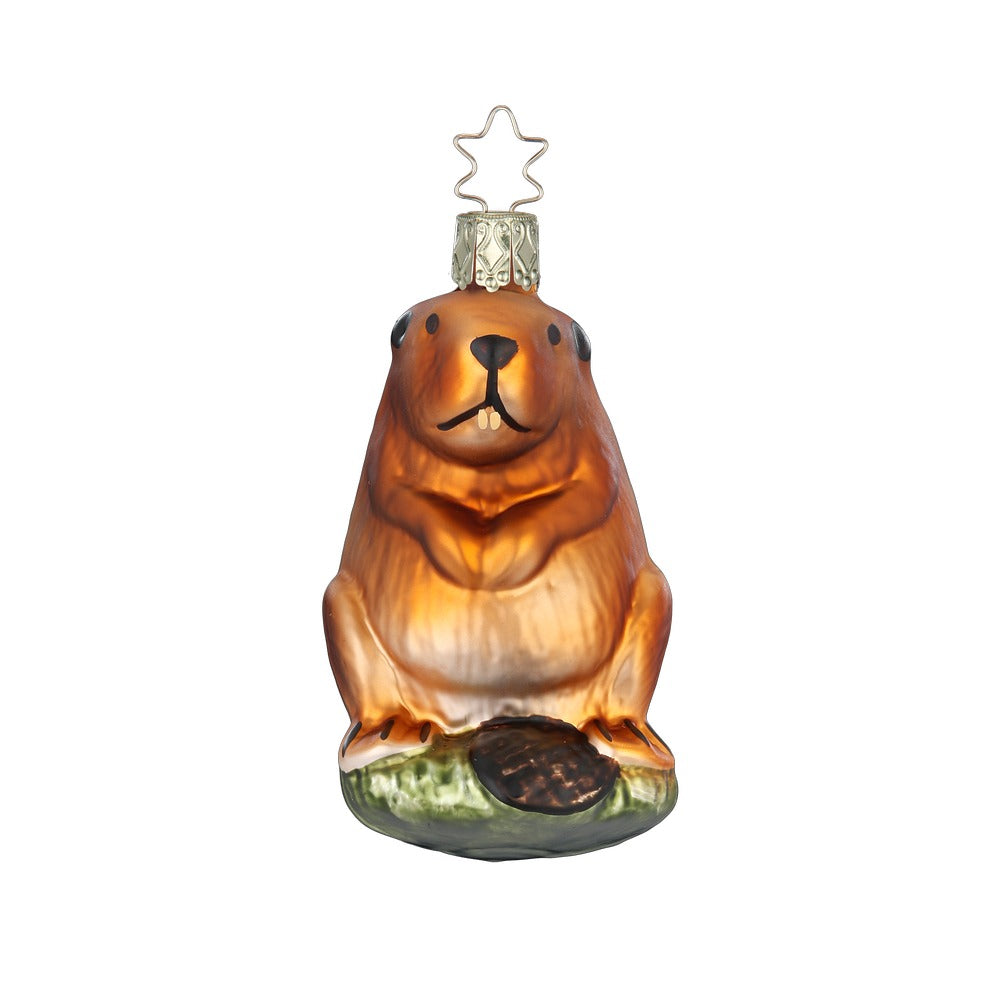 Biber, 8.5 cm