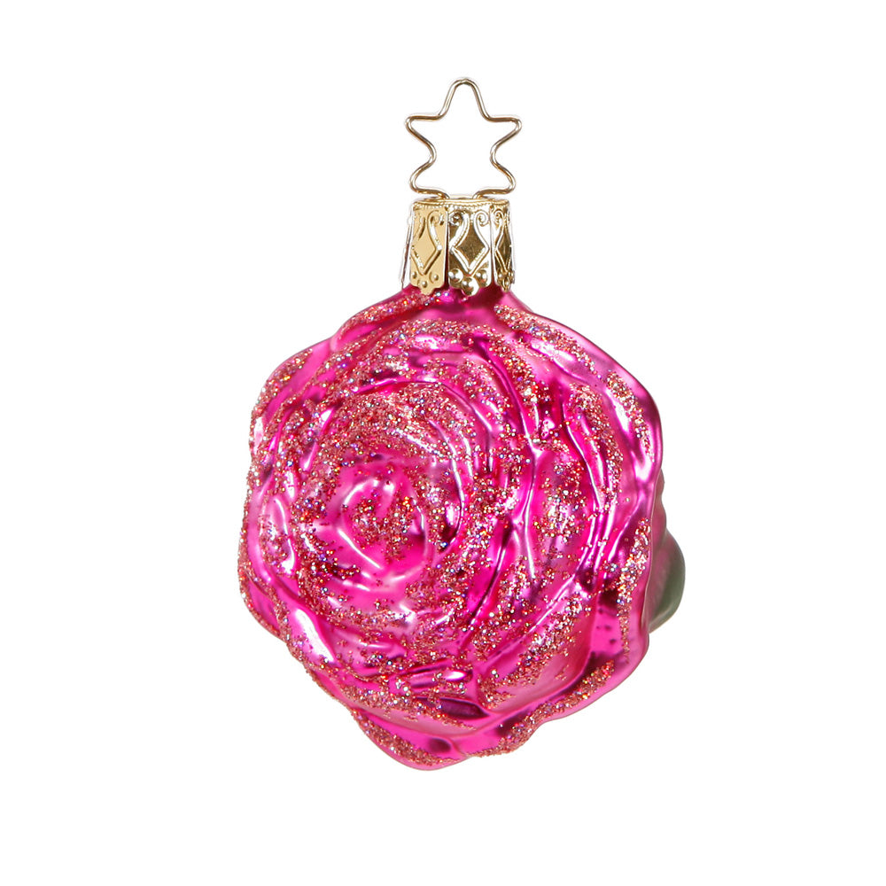 Rose, divarot, 6.5 cm