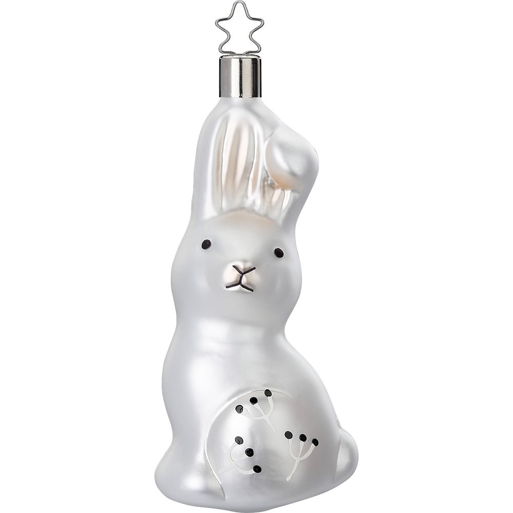 Curious Rabbit, 5.2''