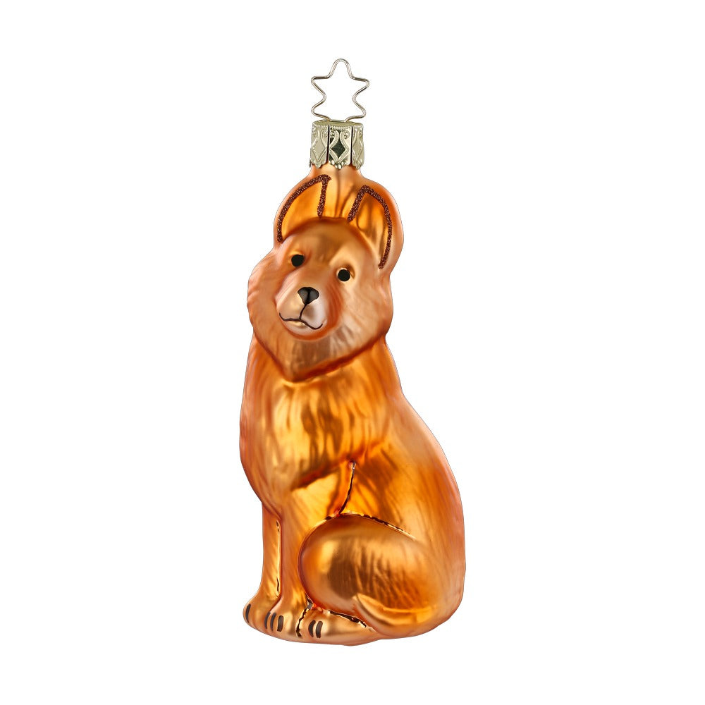Hund, 11.5 cm