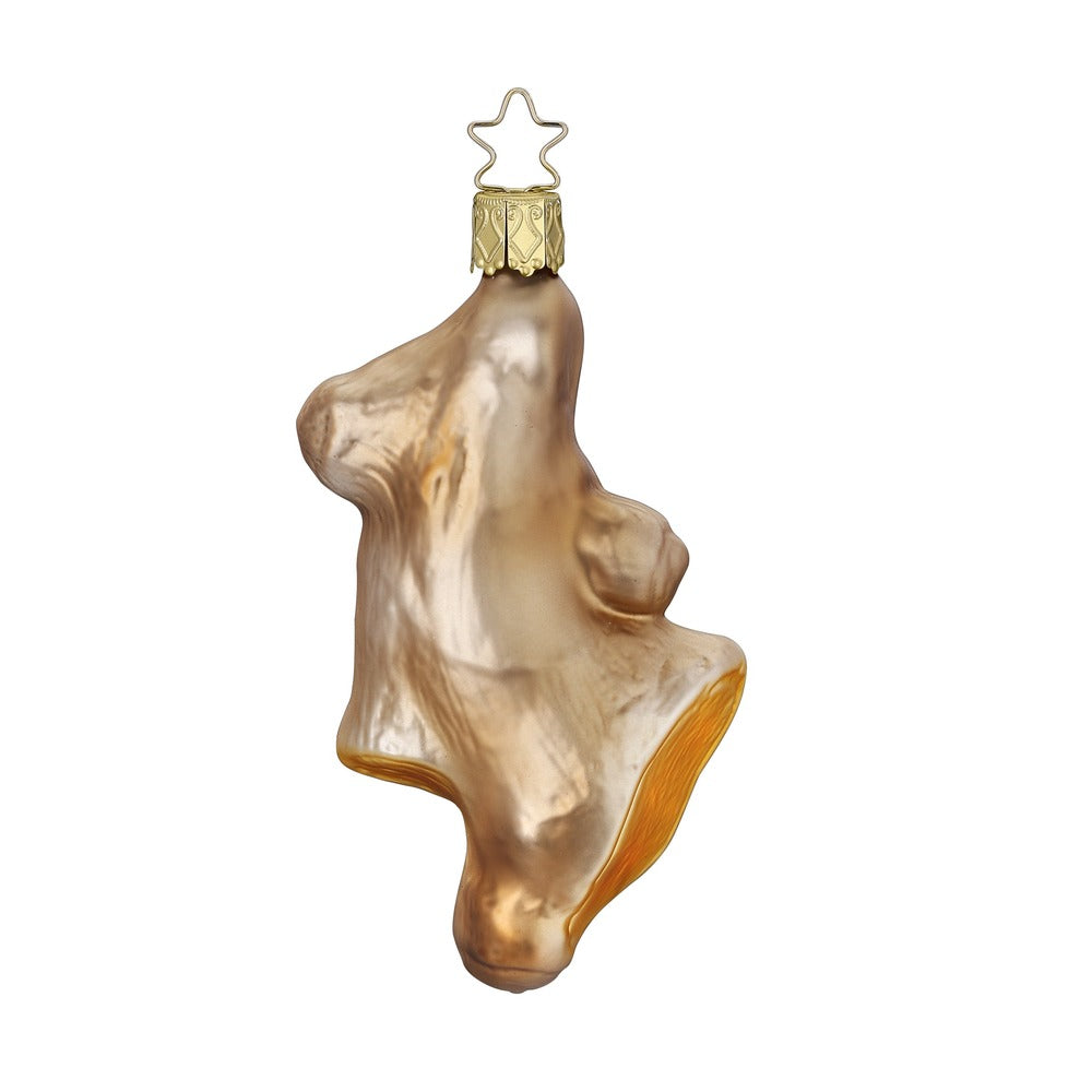 Ingwer, 11 cm