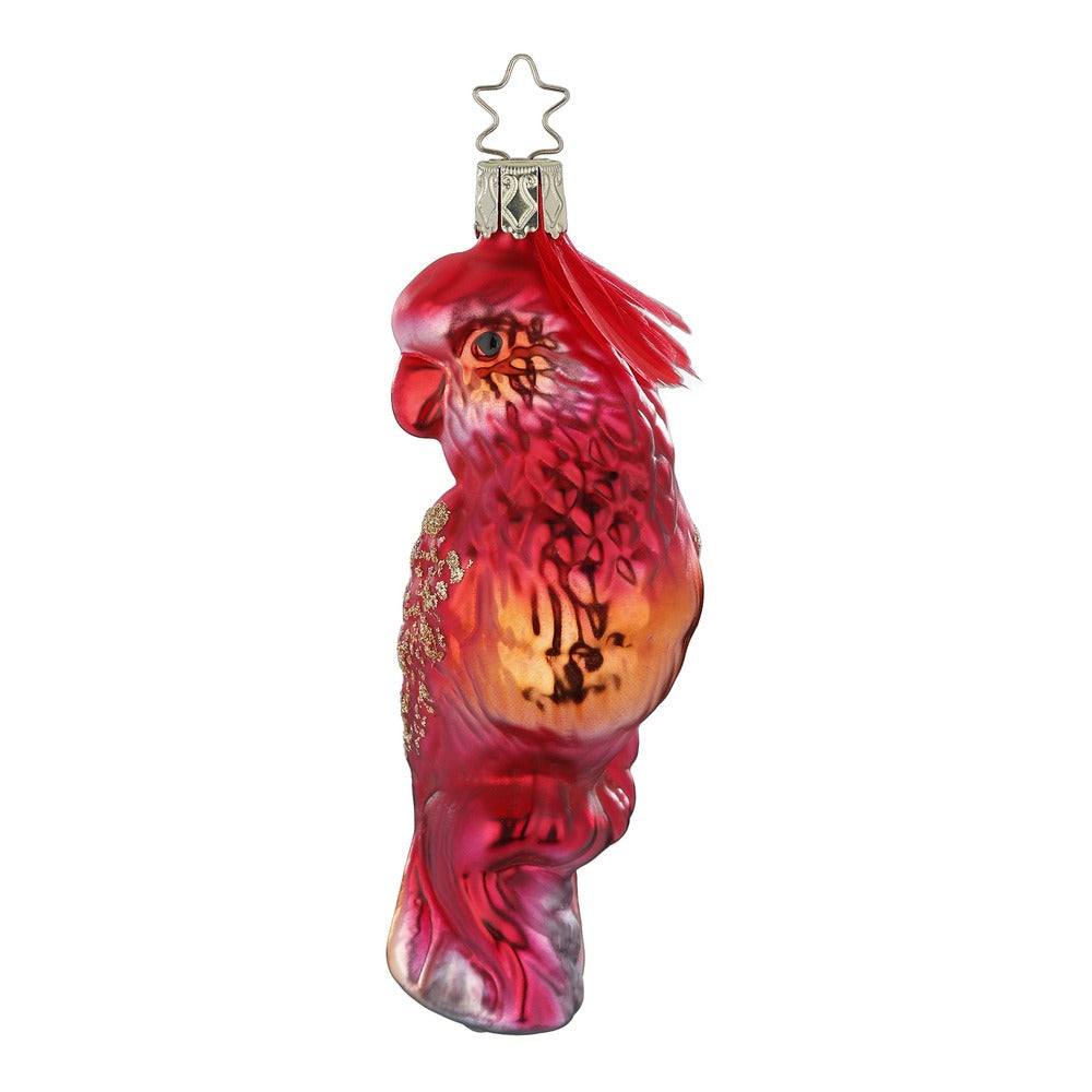Feuervogel, 12 cm