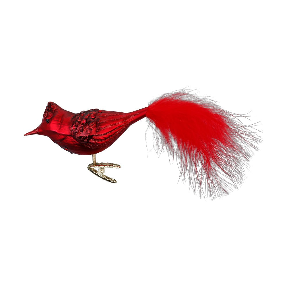 Funkelnder Kardinal, 11.5 cm
