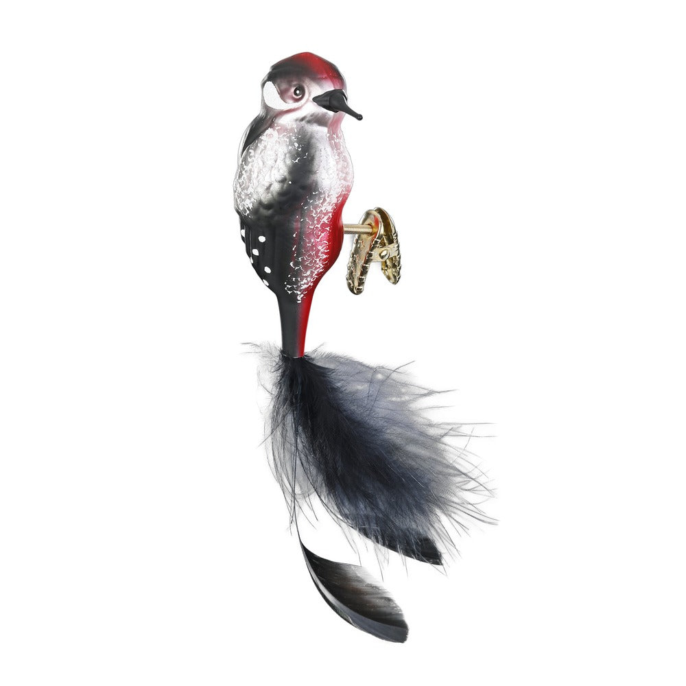 Buntspecht, 10 cm