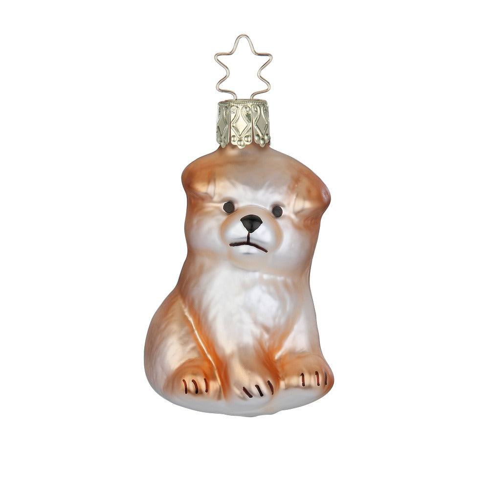 Chow Welpe, 7 cm