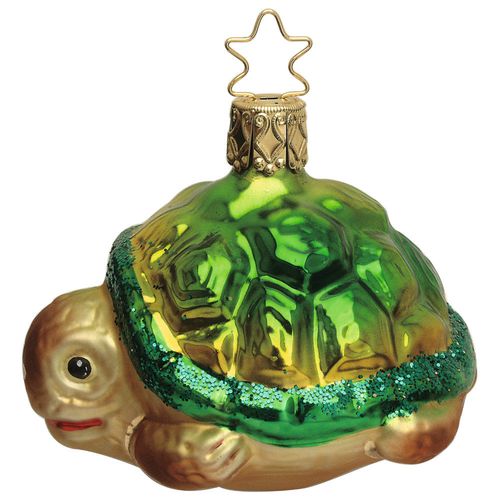 Schildkrötenbaby, 6 cm
