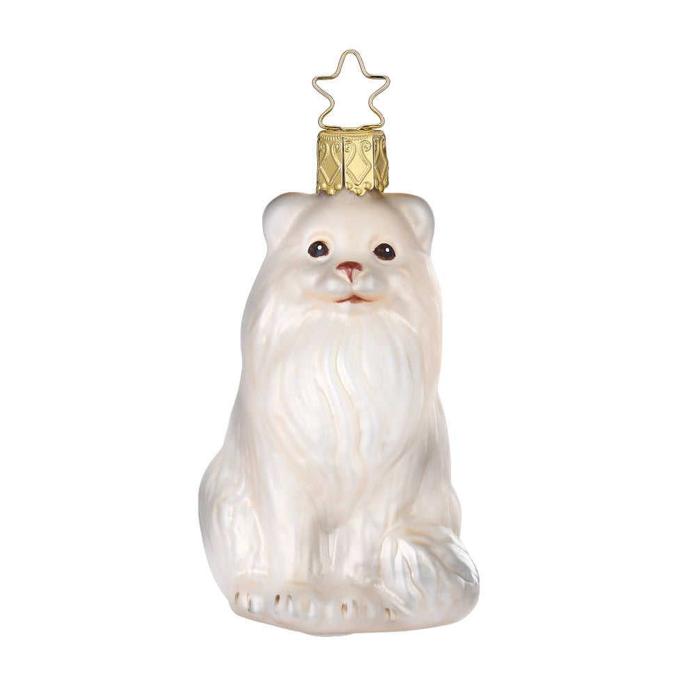 Perserkatze, 8.5 cm