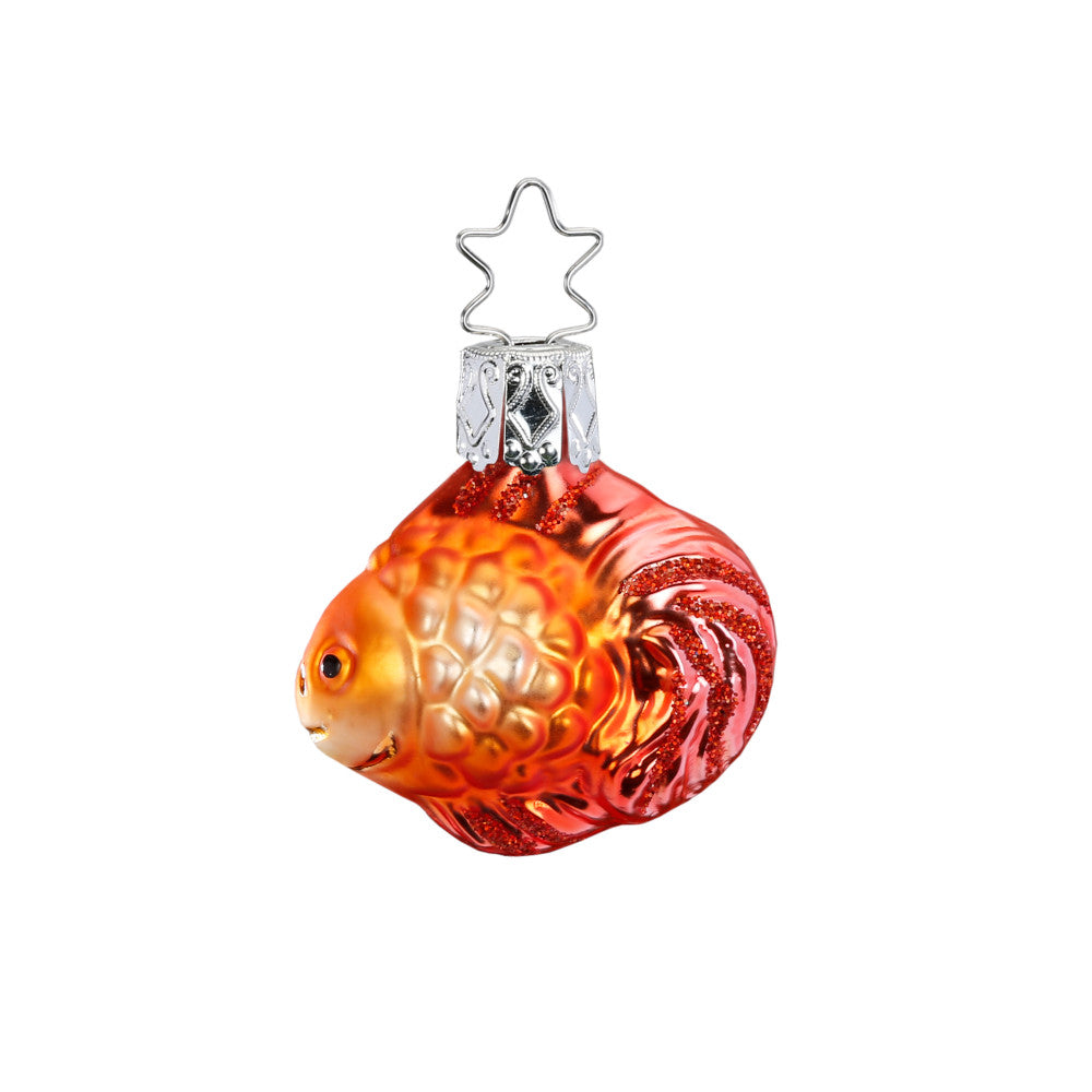 Schwarmfisch, orange, 4 cm