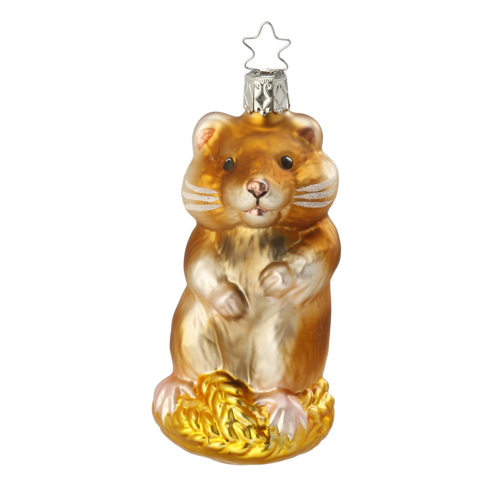 Hamster, 11 cm
