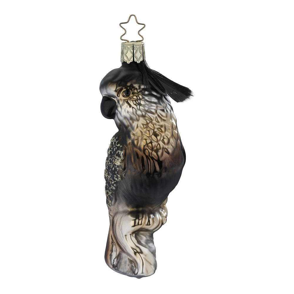 Goldvogel, 12 cm