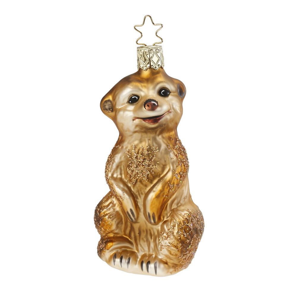 Erdmännchen, 10 cm