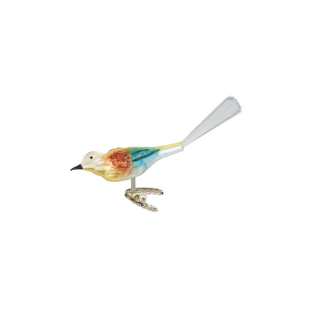 Bonita, 9 cm