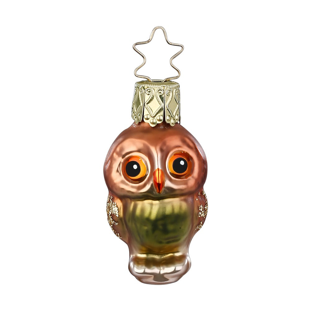 Kleine Eule, 5 cm