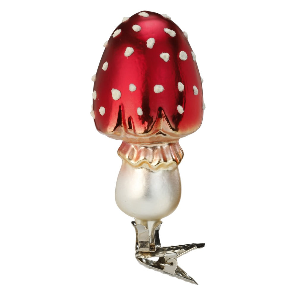 Giftiger Geselle, 9.5 cm
