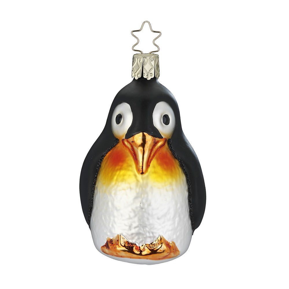 Kaiserpinguin, 9 cm