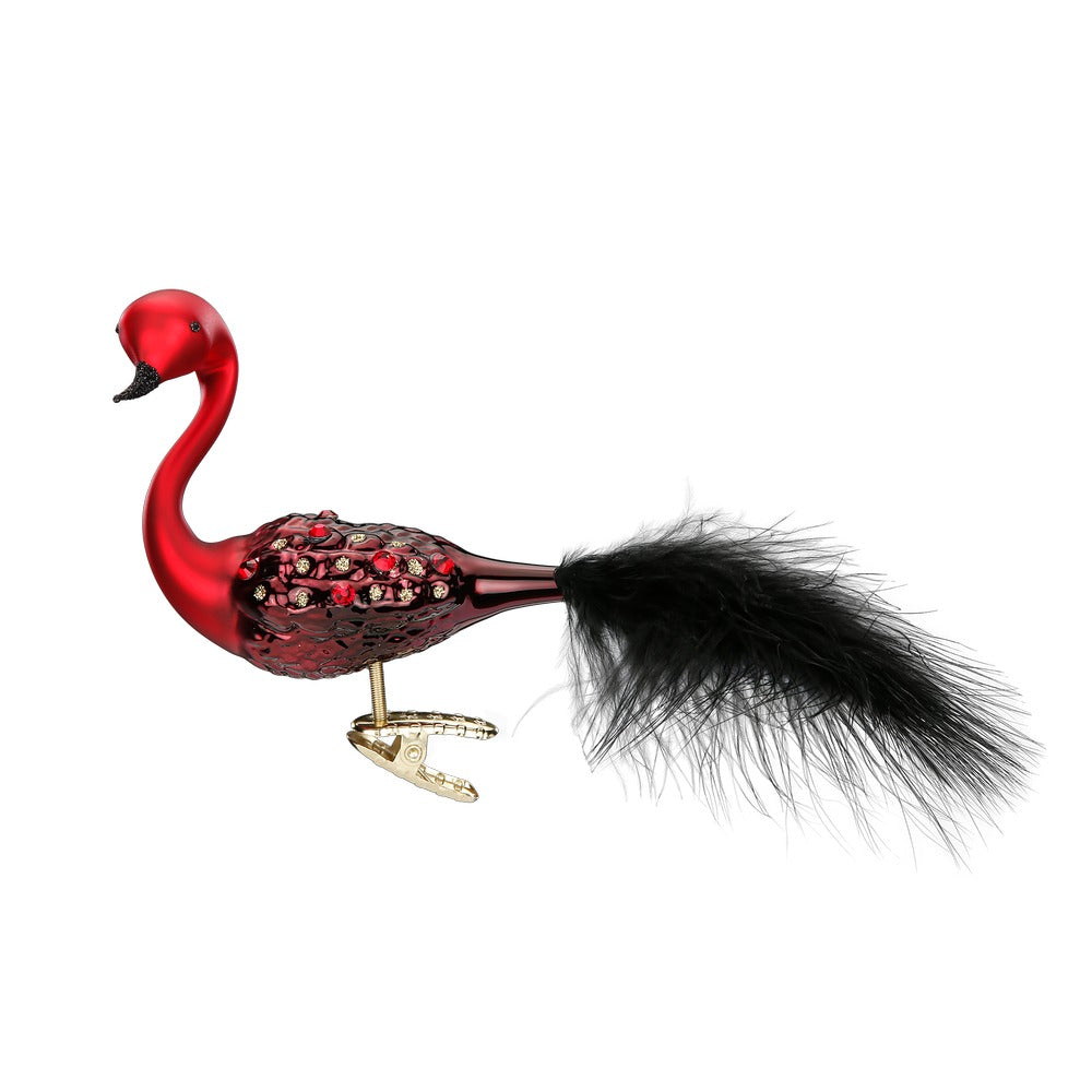 Pfauenpracht, 9 cm