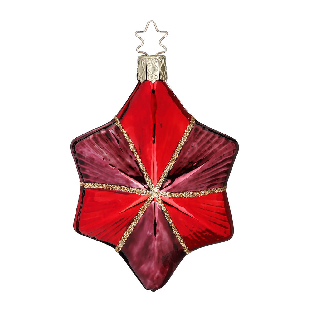 Edles Funkeln, 9.5 cm
