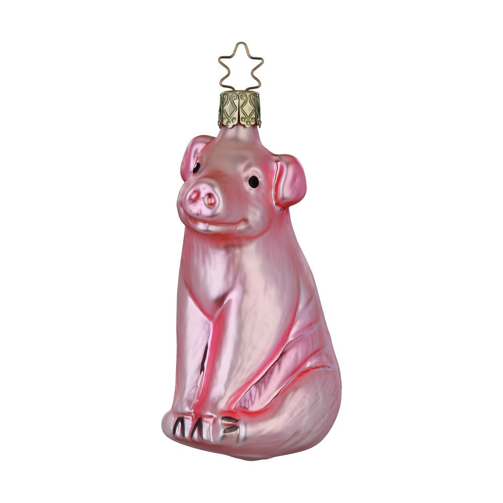 Schwein, 11 cm