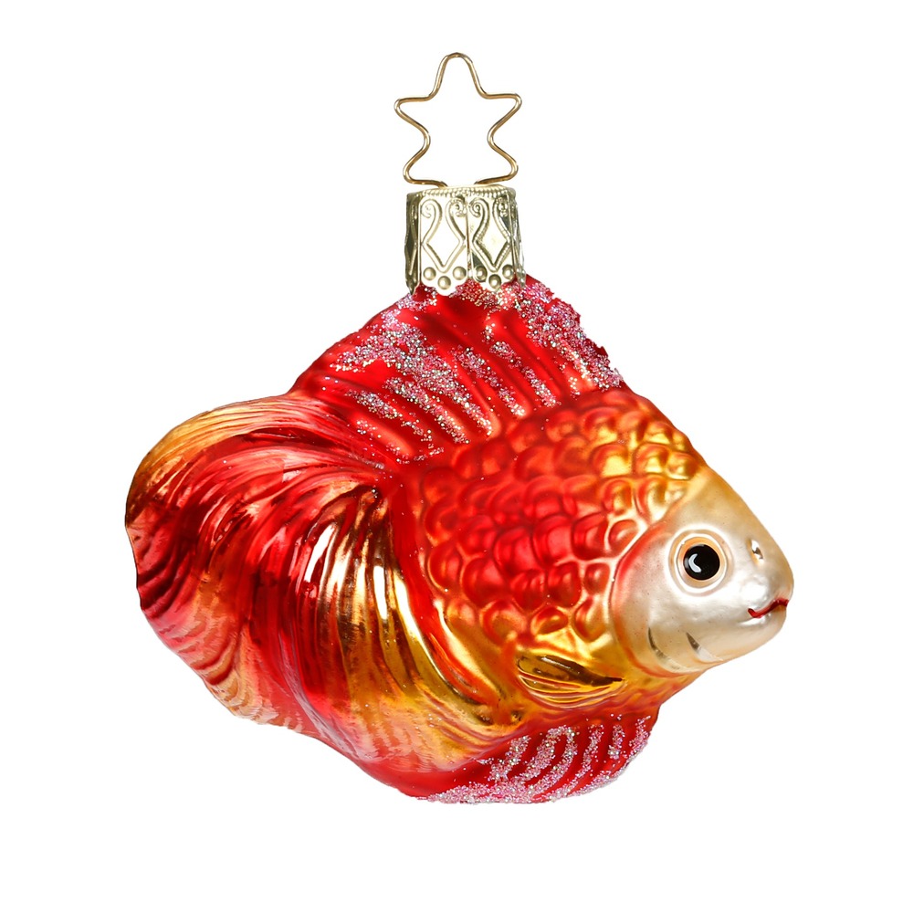 Zierfisch, 7.5 cm