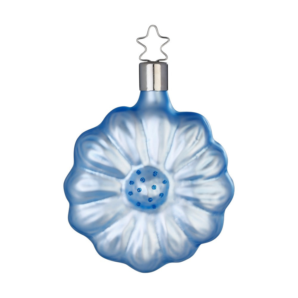 Gerbera, eisblau, 8 cm