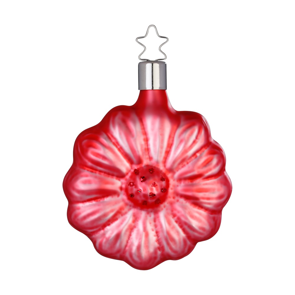 Gerbera, rosarot, 8 cm