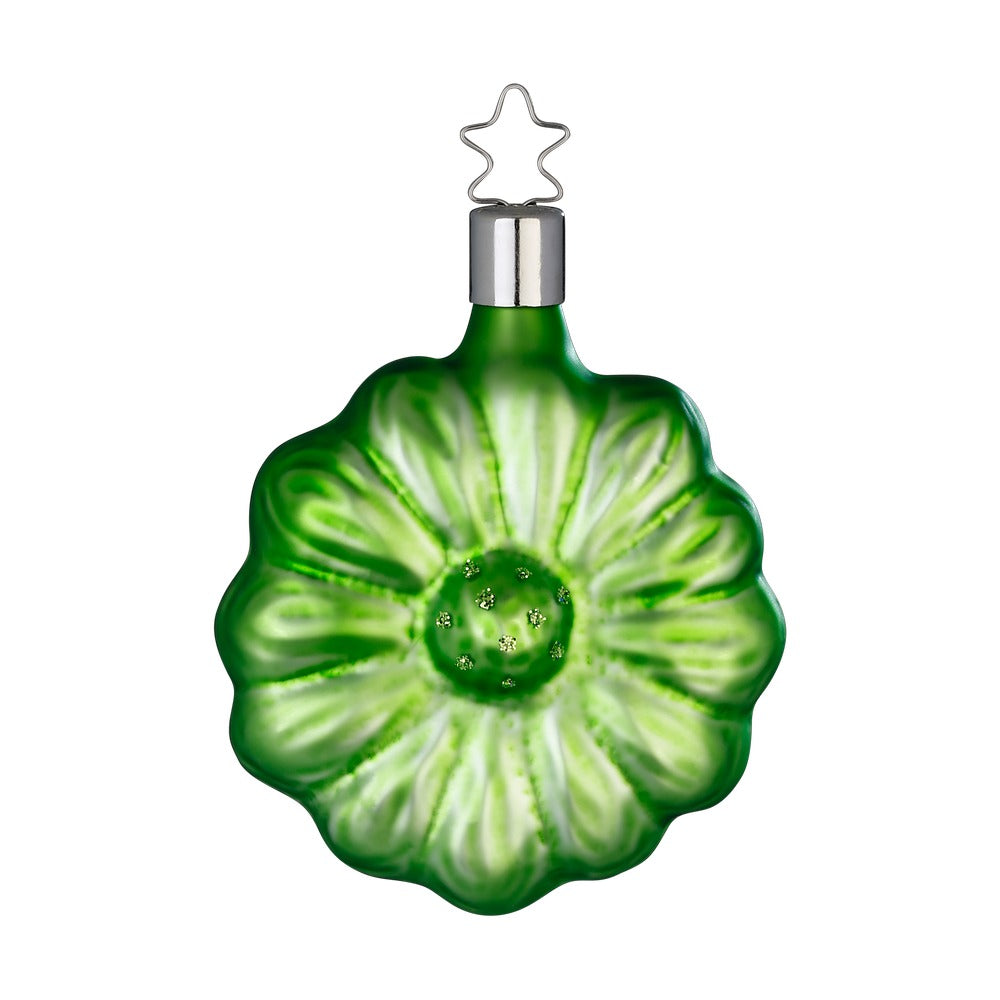 Gerbera, jade, 8 cm