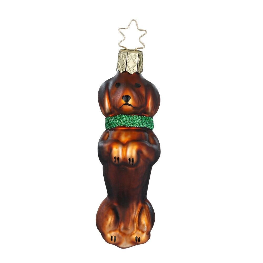 Kurzhaardackel, dunkelbraun, 9.5 cm